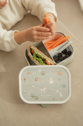 Little Dutch Sada Desiatov box a Faa Farma 4